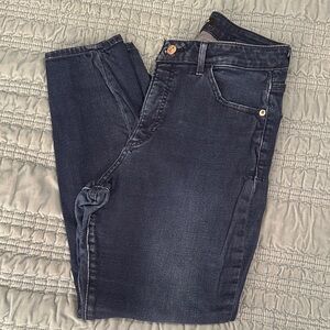Express Midnight Blue Jeans